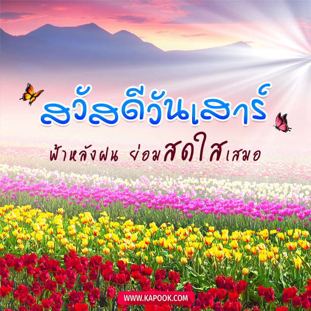 ดูดวงรายวัน ดูดวงรายวัน