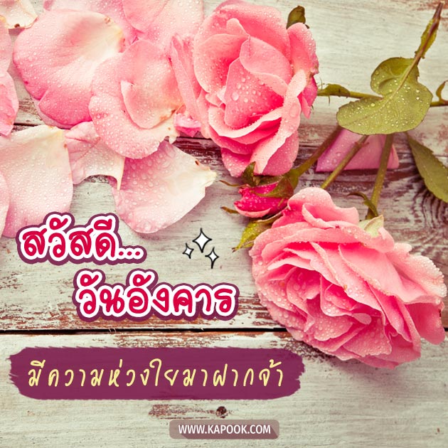 ดูดวงรายวัน ดูดวงรายวัน