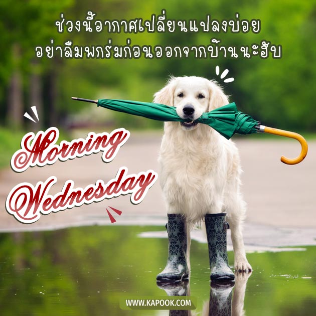 ดูดวงรายวัน ดูดวงรายวัน