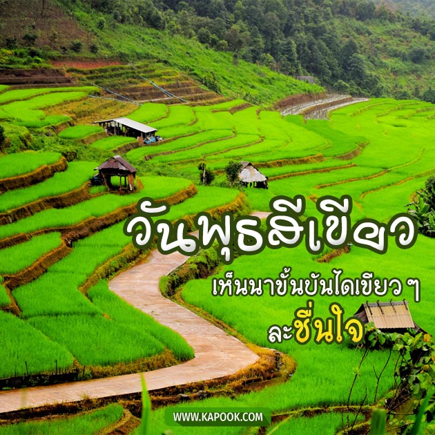 ดูดวงรายวัน ดูดวงรายวัน