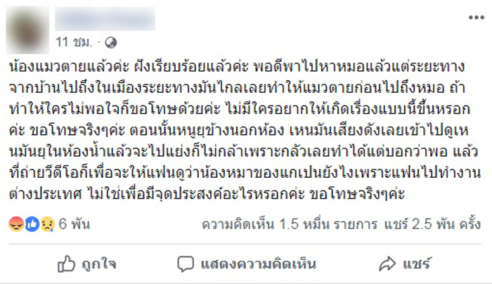 หมากัดแมว หมากัดแมว