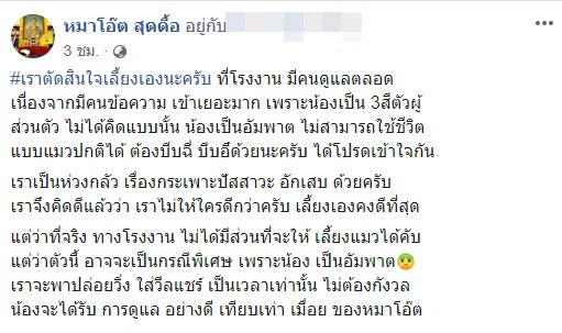 โยนแมวตกตึก โยนแมวตกตึก