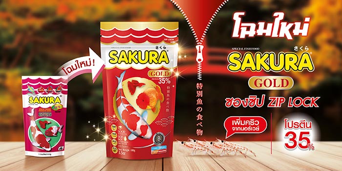 อาหารปลาซากุระ อาหารปลาซากุระ