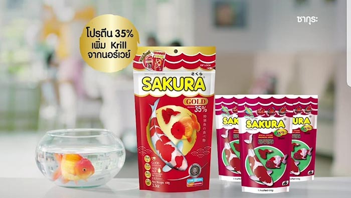 อาหารปลาซากุระ อาหารปลาซากุระ