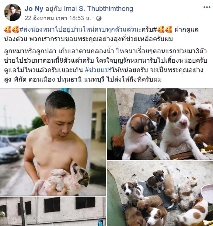ลูกหมาลอยน้ำ ลูกหมาลอยน้ำ