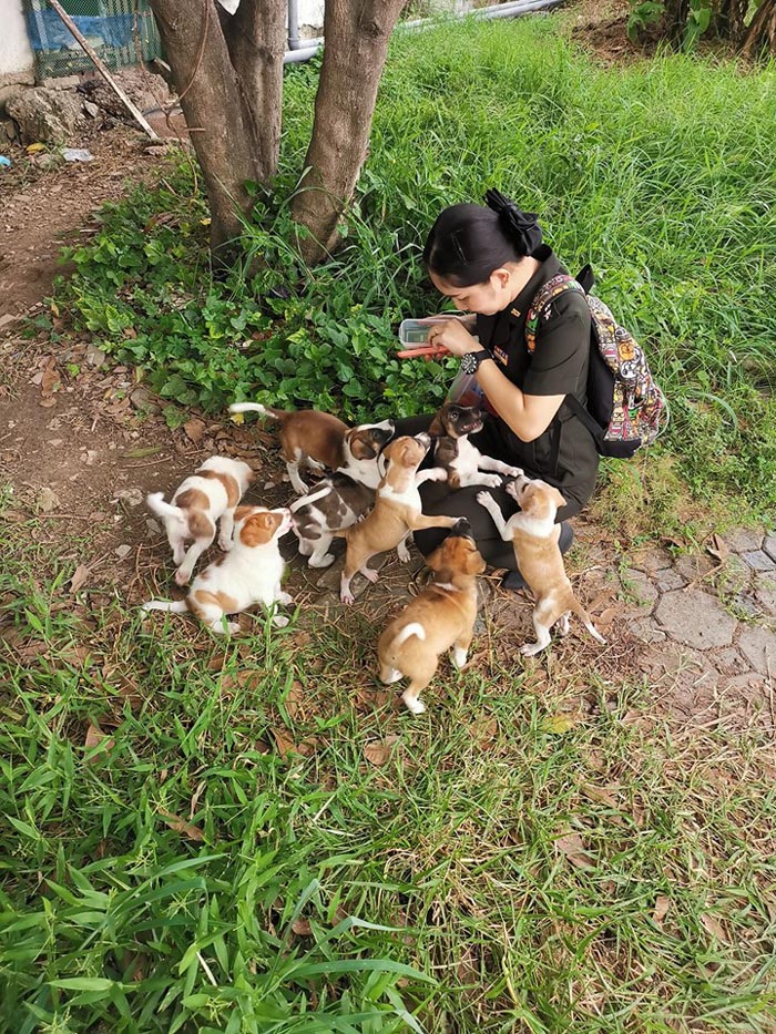 ลูกหมาลอยน้ำ ลูกหมาลอยน้ำ