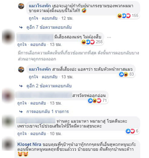 มะลิ กะปิ แมวโรงพัก มะลิ กะปิ แมวโรงพัก