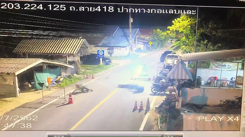 โจรใต้ โจรใต้
