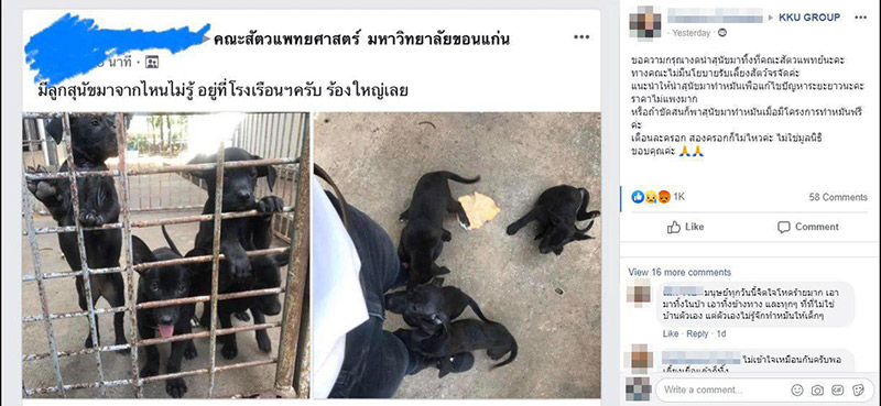 ทิ้งหมามหาวิทยาลัยขอนแก่น ทิ้งหมามหาวิทยาลัยขอนแก่น