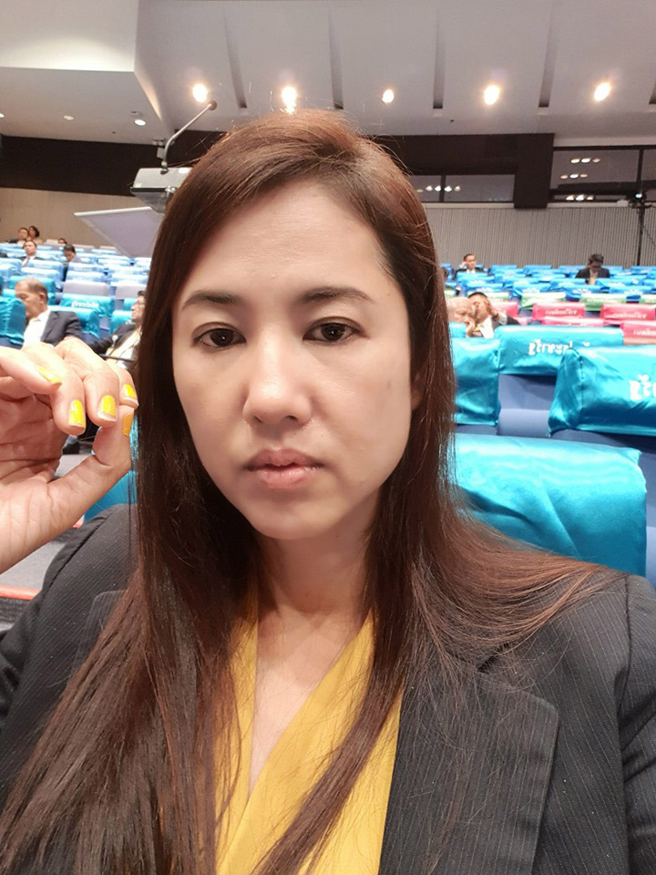 ปารีณา ไกรคุปต์ ปารีณา ไกรคุปต์