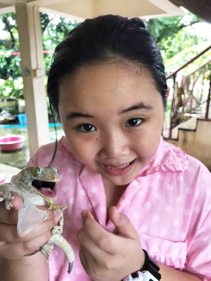 ตุ๊กแก ตุ๊กแก