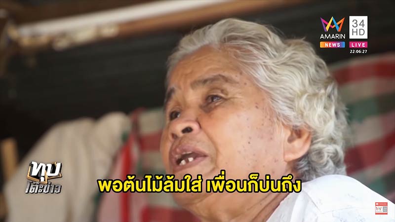 ต้นไม้ล้มทับคน ต้นไม้ล้มทับคน