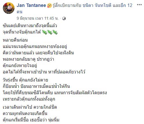 ตุ๊กแก ตุ๊กแก