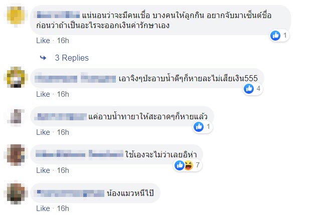 ทาสแมว ทาสแมว
