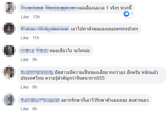 ทาสแมว ทาสแมว