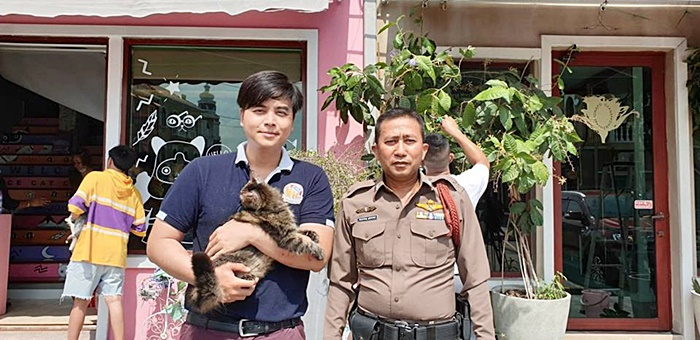 คาเฟ่แมว คาเฟ่แมว
