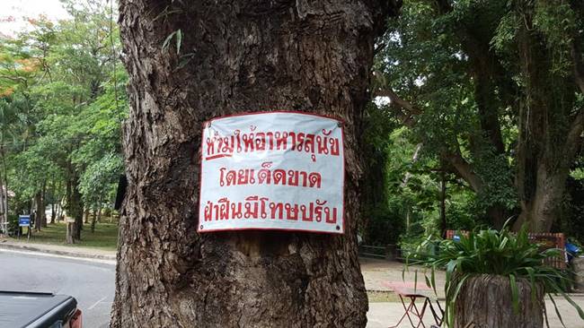 ประกาศห้ามให้อาหารหมา ประกาศห้ามให้อาหารหมา