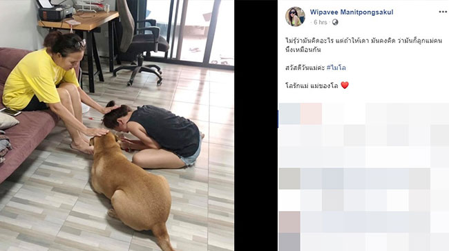หมากราบเท้าแม่ หมากราบเท้าแม่