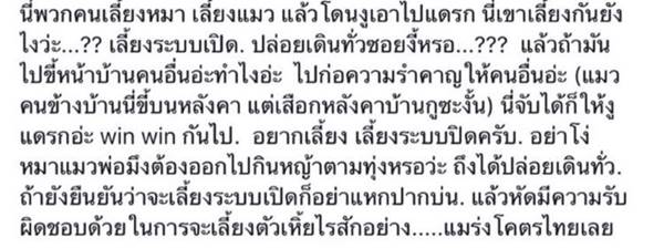 ทารุณแมว ทารุณแมว