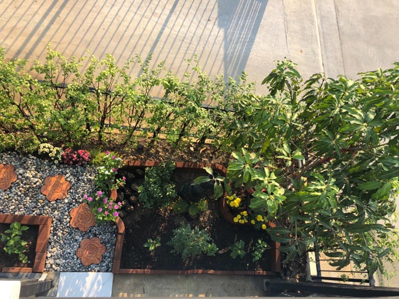 จัดสวนข้างบ้านทาวน์โฮม จัดสวนข้างบ้านทาวน์โฮม