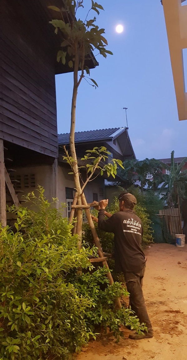 แบบบ้านฟรี ธอส. แบบบ้านฟรี ธอส.