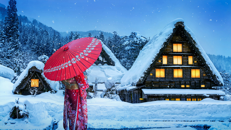 Shirakawa-go Light Up 2020 Shirakawa-go Light Up 2020