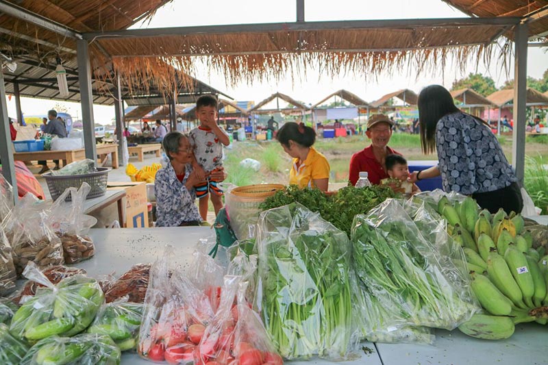 ต้นกล้าเกษตรแฟร์ สระบุรี ต้นกล้าเกษตรแฟร์ สระบุรี