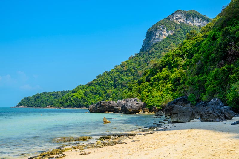 เกาะทะเลใต้ เกาะทะเลใต้