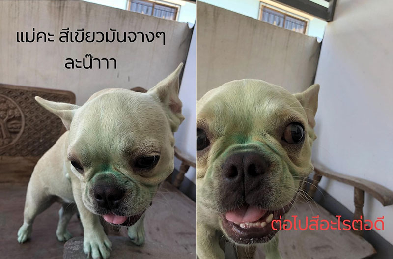 สาวลมแทบจับ สาวลมแทบจับ