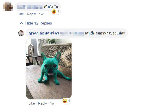 สาวลมแทบจับ สาวลมแทบจับ