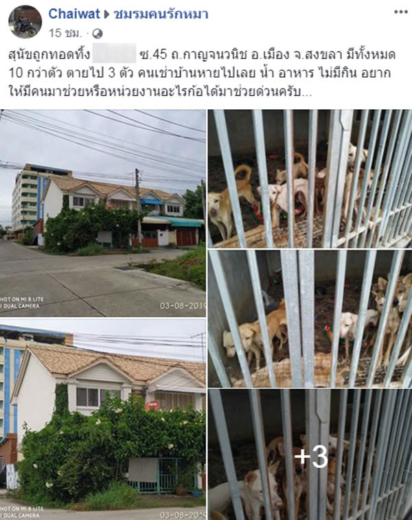 สุนัข สุนัข