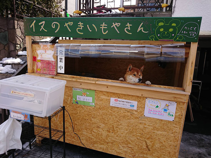 พนักงานขายร้านมันหวาน พนักงานขายร้านมันหวาน