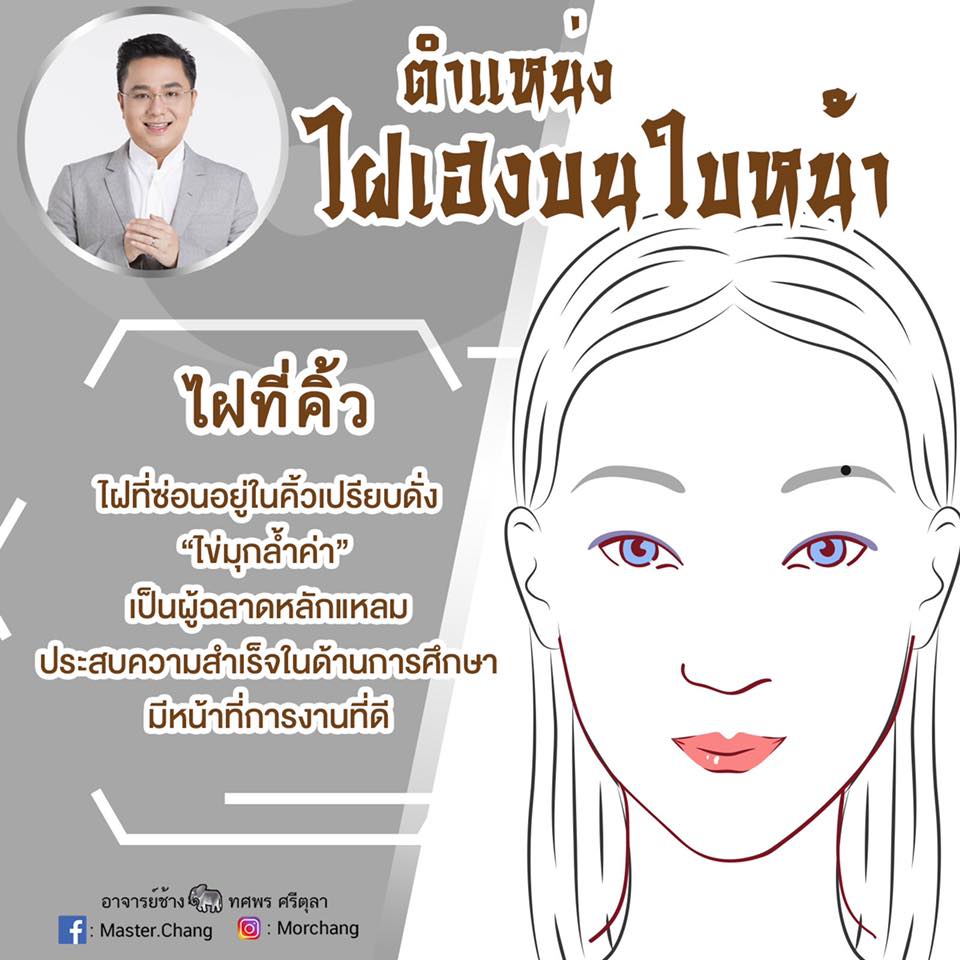 หมอช้าง ทศพร ศรีตุลา หมอช้าง ทศพร ศรีตุลา