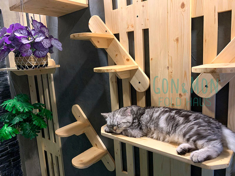 ต่อเติมห้องแมว ต่อเติมห้องแมว