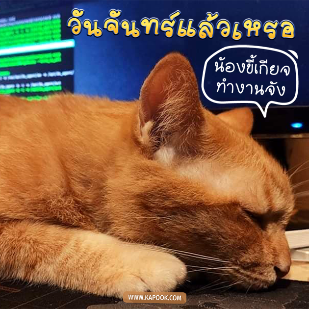 ดูดวงรายวัน ดูดวงรายวัน