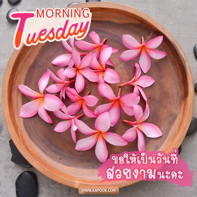 ดูดวงรายวัน ดูดวงรายวัน