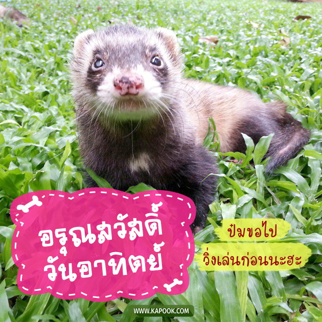 ดูดวงรายวัน ดูดวงรายวัน