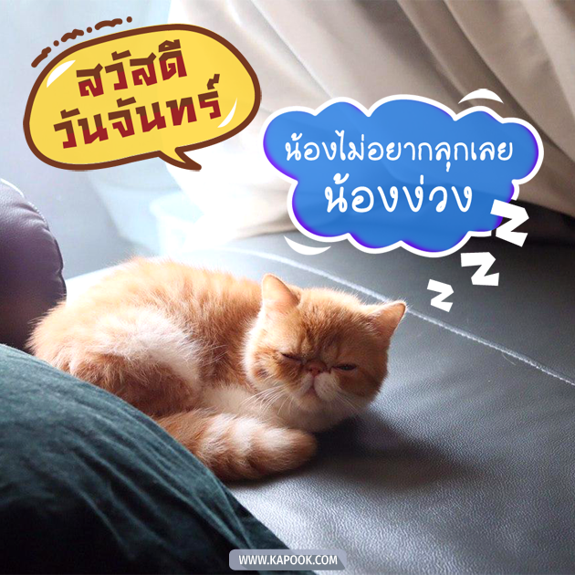 ดูดวงรายวัน ดูดวงรายวัน