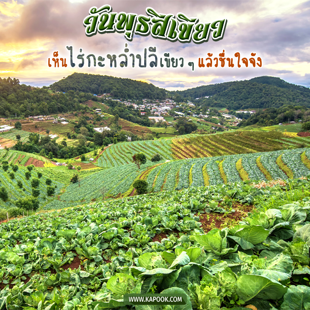 ดูดวงรายวัน ดูดวงรายวัน