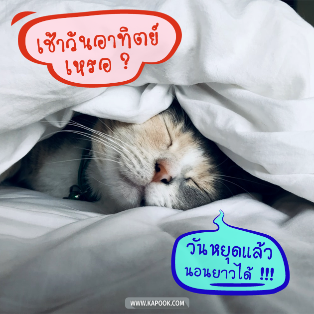 ดูดวงรายวัน ดูดวงรายวัน