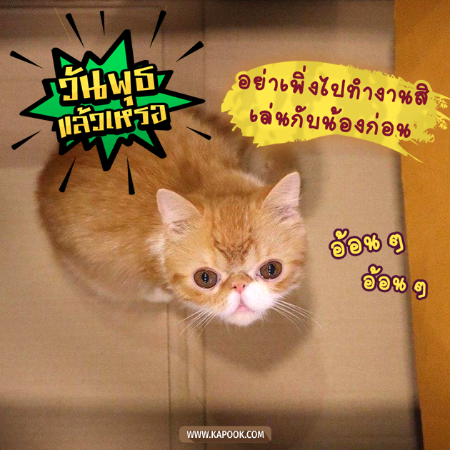ดูดวงรายวัน ดูดวงรายวัน