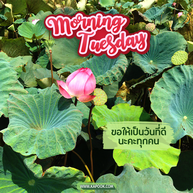 ดูดวงรายวัน ดูดวงรายวัน