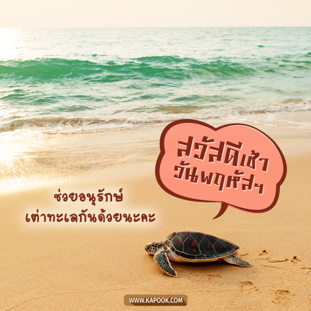 ดูดวงรายวัน ดูดวงรายวัน
