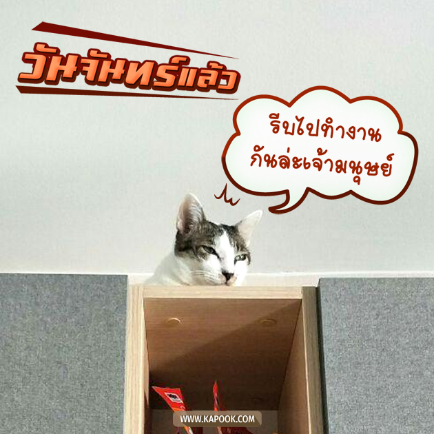 ดูดวงรายวัน ดูดวงรายวัน