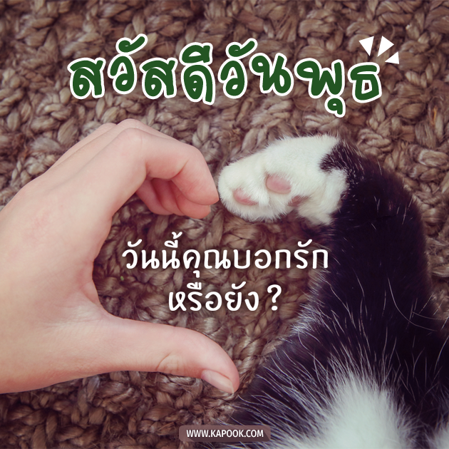 ดูดวงรายวัน ดูดวงรายวัน