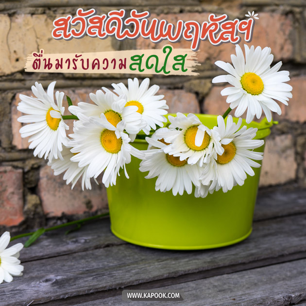 ดูดวงรายวัน ดูดวงรายวัน