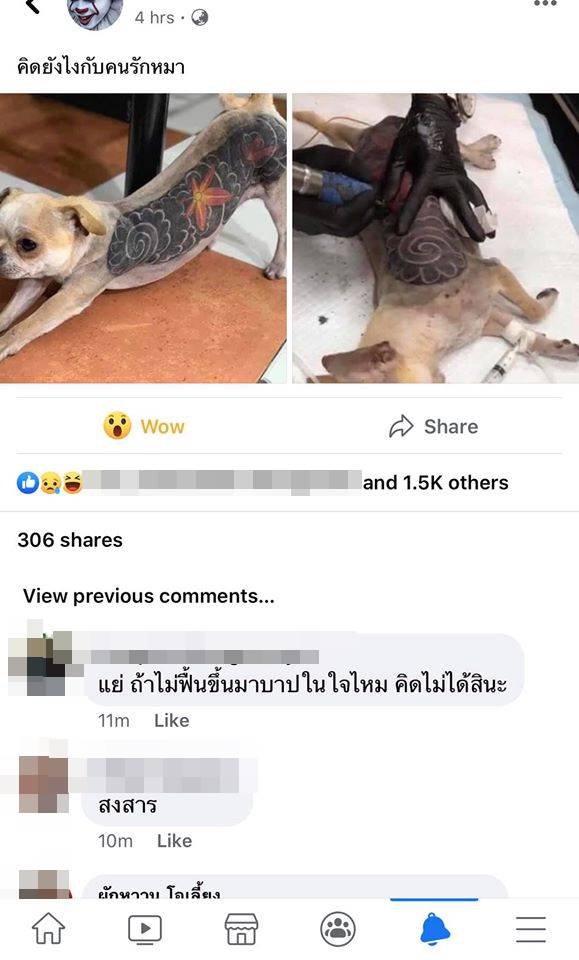 สักลายหมา สักลายหมา