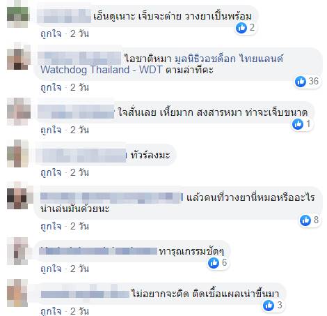 สักลายหมา สักลายหมา