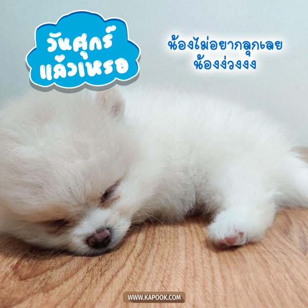 ดูดวงรายวัน ดูดวงรายวัน