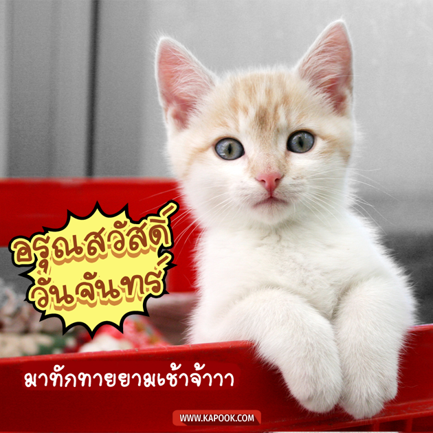 ดูดวงรายวัน ดูดวงรายวัน